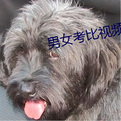 男女考比视频