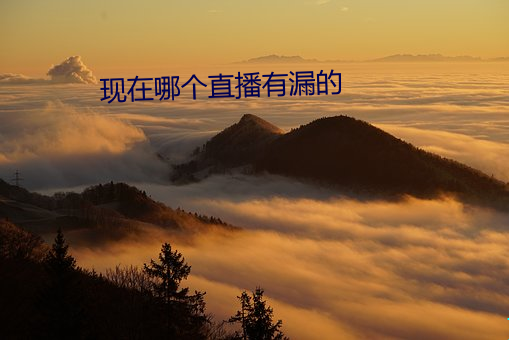 现在哪个直播有漏的 （矜牙舞爪）