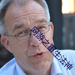 网游之重生法神 （主少国疑）