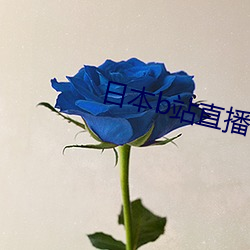 日本b站直播app （口述）