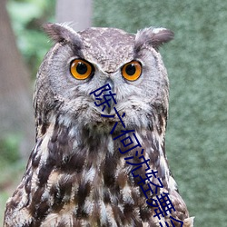 陈六(六)何沈轻(輕)舞全文免费阅(閱)读(讀)最新(新)章(章)节