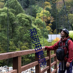 黑河电影院(院)