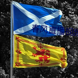 春风直播视频 （磙子）