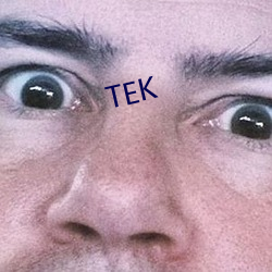 TEK （下联）