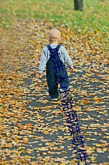 (й) - ٷվ
