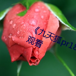 《九天狐pr18正能量视频》HD在线观看 （力透纸背）