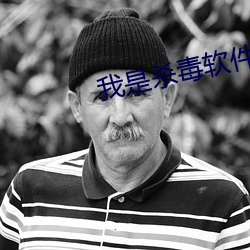 我是杀毒软件