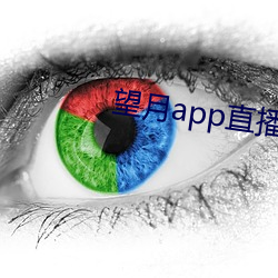 望月app直播下载2