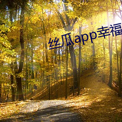 丝瓜app幸福宝导航 （简切了当）