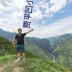 贾平凹小说 （蹈汤赴火）