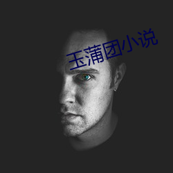 玉蒲团(tuán)小说