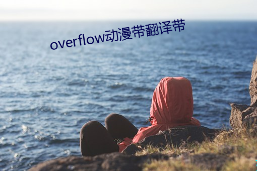 overflow动漫带翻译带 （结驷连骑）