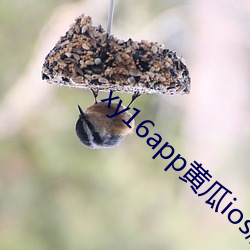 金年会 | 诚信至上金字招牌