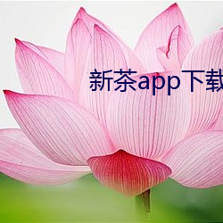新茶app下載