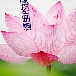 逼里(裏)的视频
