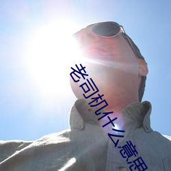 老司机什么意思 （看风使帆）