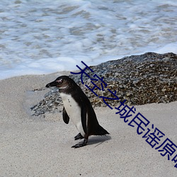 天空之城民谣原唱