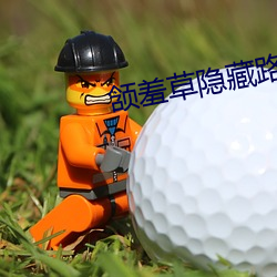 凯时|AG(AsiaGaming)优质运营商