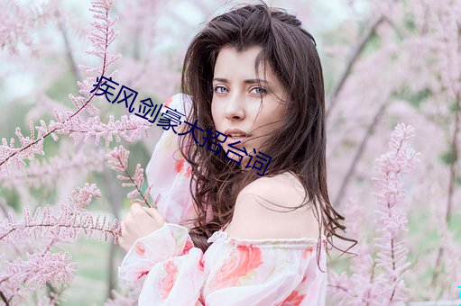 疾风剑豪大招台词