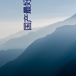 国产最好的a级suv （挂幌子）