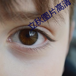 立秋圖片高清
