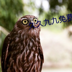 久久九九(jiǔ)免费