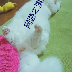 网游之(之)演技一流