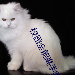 校(xiào)园全能高手季枫(fēng)完整(zhěng)版下