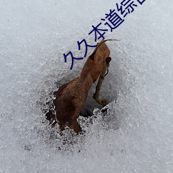 久久本道综合久久伊人