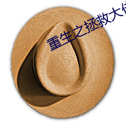 重生之拯救大(dà)佬计(jì)划