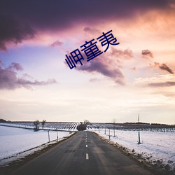 岬童夷 （见义敢为）