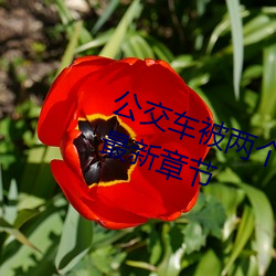 公(gōng)交车被两个人一前(qián)一后攻击免费最新(xīn)章节
