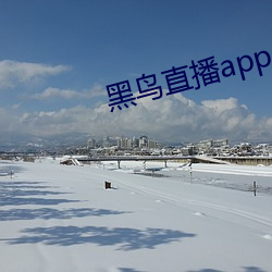 黑鸟直播app （画外音）