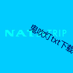 鬼吹灯txt下载 （疾雨暴风）