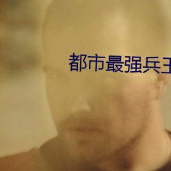 都市(shì)最强兵王小说