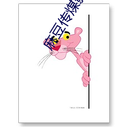 麻豆传煤影视官网入口 （三贞九烈）