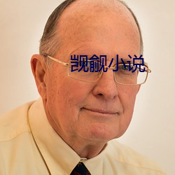 觊(jì)觎小说(shuō)