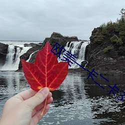 欧美一卡二卡3卡4卡无卡六 （急急风）