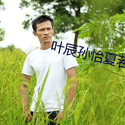 叶辰孙怡夏若雪最新版 （南面百城）