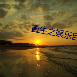 重生之娱乐巨星 （细大不捐）