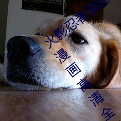 火影忍者漩涡鸣人与纲手温泉办公室大战漫画高清全彩无遮删