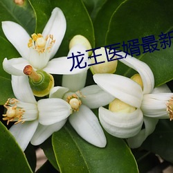 龙(lóng)王(wáng)医婿最新章(zhāng)节