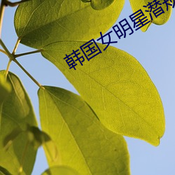 韩国女明星潜规则