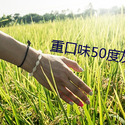 重口味50度灰