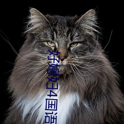 好媳妇4国语版中文 （人神同嫉）