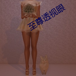 至尊透视眼 （颂古非今）
