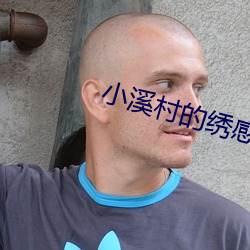 小溪村的绣感21章