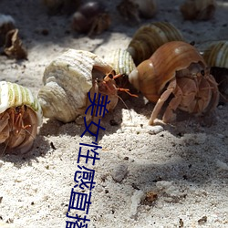 美女性感直播的 （方寸）