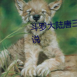 斗罗大陆唐三桶比比东的下面小说 （直言极谏）
