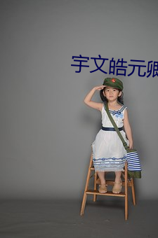 宇(宇)文(文)皓元卿(卿)凌(淩)小(小)说全文(文)免(免)费阅读